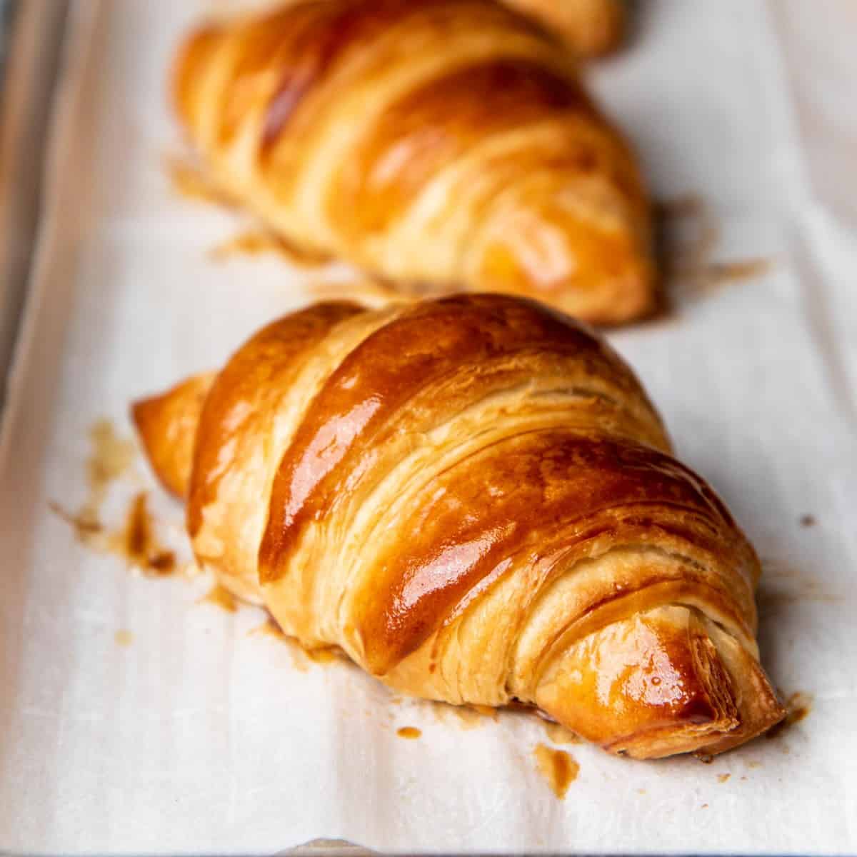 Homemade croissant